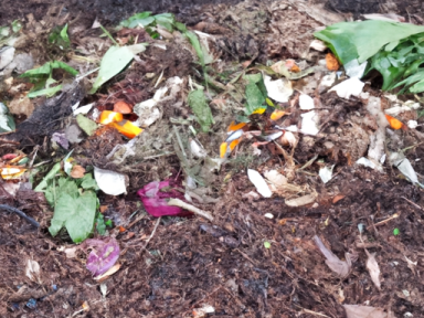 Advanced Composting Techniques