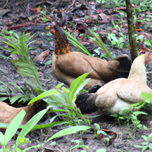 Chickens: Your Ultimate Weapon Against Pest Invasion! – Homesteading ...