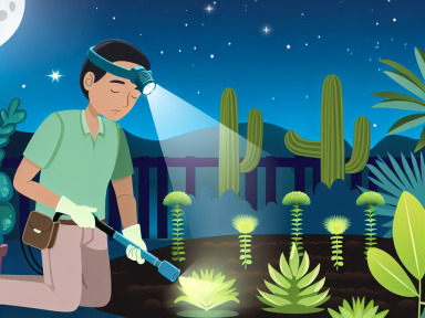 Night Gardening: A New Way to Manage Your Garden