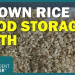 The Brown Rice Oxygen Absorber Myth — Here's the Truth