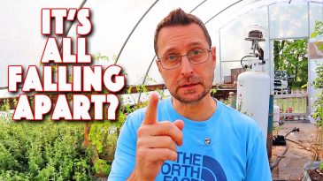 Falling Apart!! What Happened To The Homesteading "Community"?