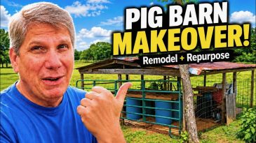 This Abandoned Pig Barn Held Decades of Farm Memories — Here's What We Found Inside