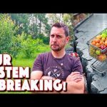 We Only Have The Illusion of Food! Prepare Now