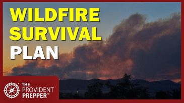 Wildfire Preparedness: The Evacuation Steps That Could Save Your Family's Life