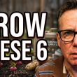 Only 6 Foods Needed for Survival - Grow These NOW!