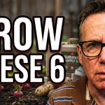 Only 6 Foods Needed for Survival - Grow These NOW!