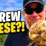 Growing Onions in Tubs? Look at This Harvest!