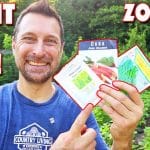 What To Plant In JULY In Your Garden! 9 PERFECT Veggies For Zone 8b Texas