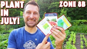 What To Plant In JULY In Your Garden! 9 PERFECT Veggies For Zone 8b Texas