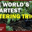 The Prepper's Secret to Watering a Garden When Water Is Scarce