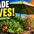 Garden Producing Half as Much? Here's Why
