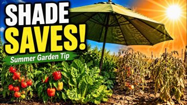 Garden Producing Half as Much? Here's Why