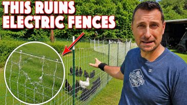 The #1 Thing That Ruins Electric Poultry Netting And How To Repair It!