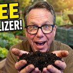 Never Buy Fertilizer Again | Homemade Compost for SHTF!