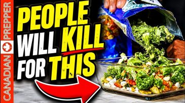⚡Prepare for FOOD SHORTAGES