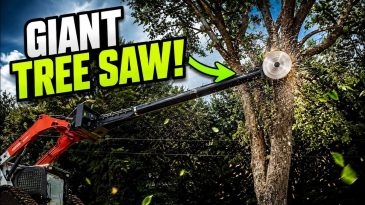 Now THAT’S a Tree Trimmer! Giant Buzz Saw in Action Destroying Limbs