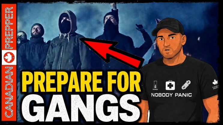 The Cities WILL BURN When SHTF