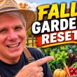 Before You Tear Out Your Summer Garden, Watch This!