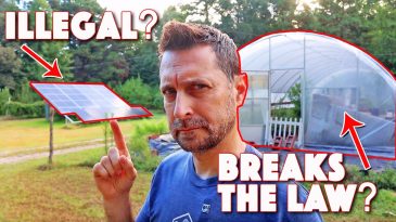 Part Of Your Homestead Might Be Illegal! Do THIS Before Buying Land!