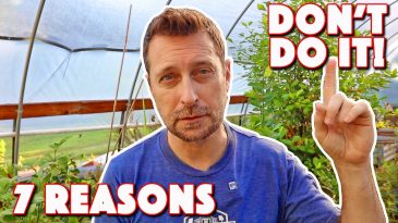 7 Reasons Homesteaders Are Failing! DON'T Leave Until You Watch This!