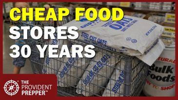 Oats for Long-Term Food Storage: The Overlooked Survival Food That Lasts 30 Years