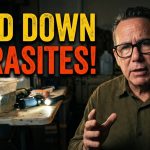 Surviving the Grid Down: What They Won't Tell You About Parasites