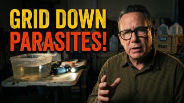 Surviving the Grid Down: What They Won't Tell You About Parasites